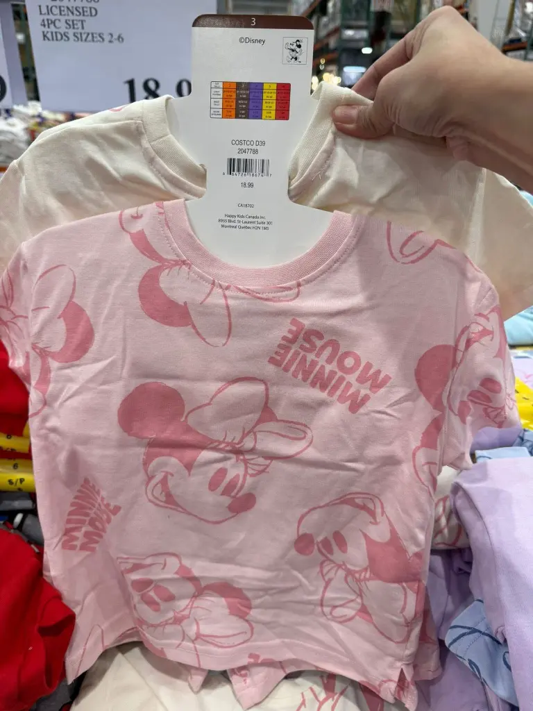 526786361_689341570815306_129394464346981283_n (1).webp